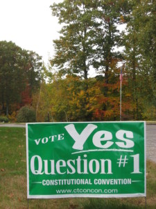 Constitutional Convention 'vote yes' ballot question lawn sign 2008